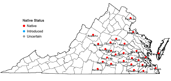 Locations ofDichanthelium angustifolium (Ell.) Gould in Virginia