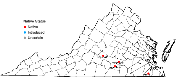 Locations ofDichanthelium arenicoloides (Ashe) LeBlond in Virginia