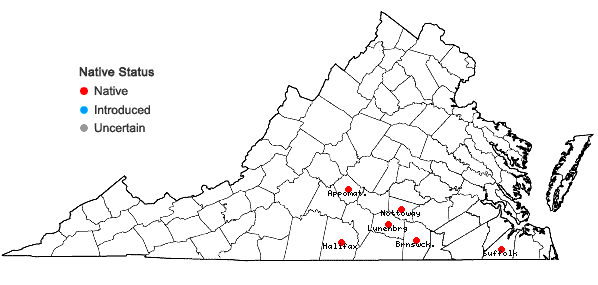 Locations ofDichanthelium arenicoloides (Ashe) LeBlond in Virginia