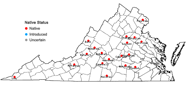 Locations ofDichanthelium bicknellii (Nash) LeBlond in Virginia