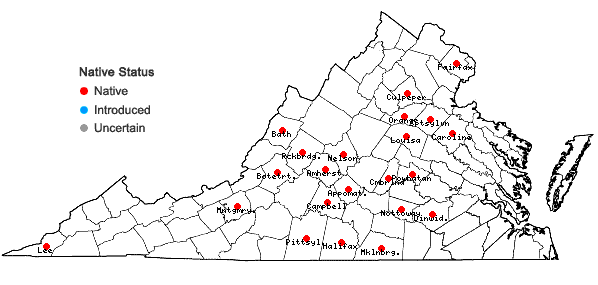 Locations ofDichanthelium bicknellii (Nash) LeBlond in Virginia