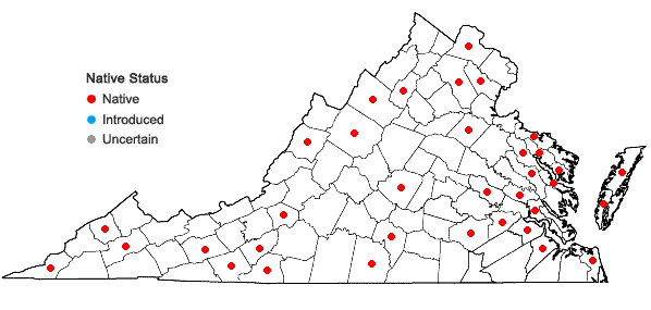 Locations ofDichanthelium columbianum (Scribn.) Freckmann in Virginia