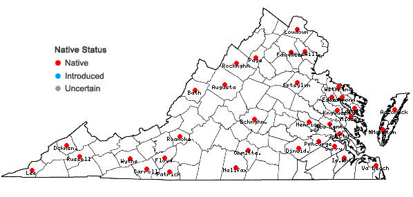 Locations ofDichanthelium columbianum (Scribn.) Freckmann in Virginia
