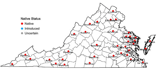 Locations ofDichanthelium columbianum (Scribn.) Freckmann in Virginia