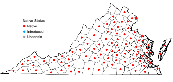 Locations ofDichanthelium commutatum (J.A. Schultes) Gould var. commutatum in Virginia
