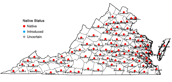 Locations ofDichanthelium commutatum (J.A. Schultes) Gould var. commutatum in Virginia