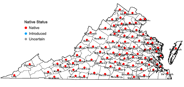 Locations ofDichanthelium depauperatum (Muhl.) Gould in Virginia