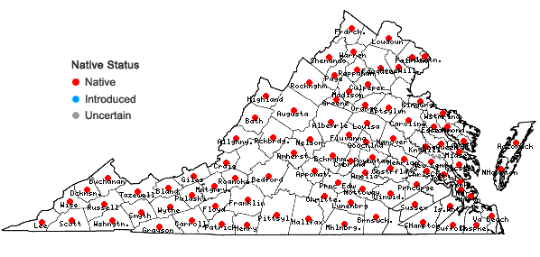 Locations ofDichanthelium dichotomum (L.) Gould var. dichotomum in Virginia