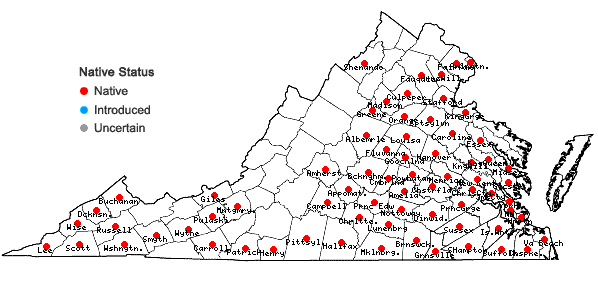 Locations ofDichanthelium laxiflorum (Lam.) Gould in Virginia