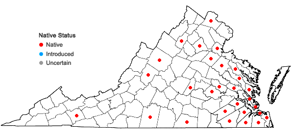 Locations ofDichanthelium longiligulatum (Nash) Freckmann in Virginia