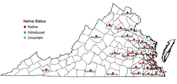 Locations ofDichanthelium longiligulatum (Nash) Freckmann in Virginia