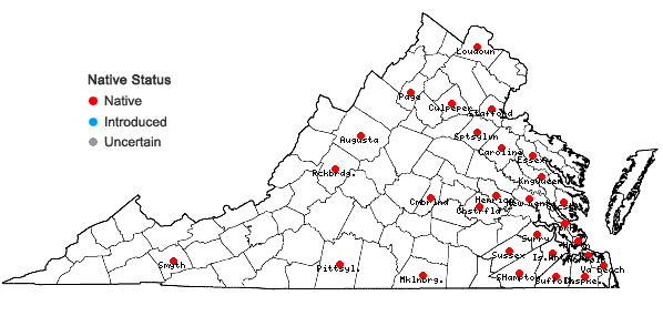 Locations ofDichanthelium longiligulatum (Nash) Freckmann in Virginia