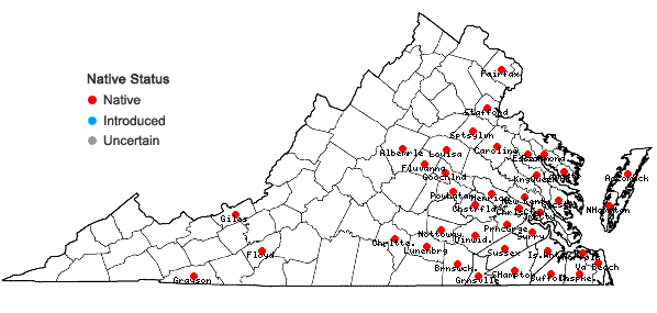 Locations ofDichanthelium lucidum (Ashe) LeBlond in Virginia