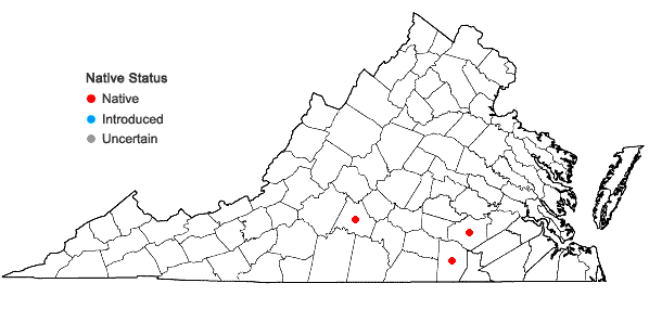 Locations ofDichanthelium malacon (Nash) LeBlond in Virginia
