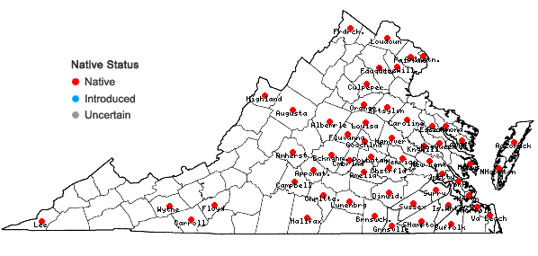 Locations ofDichanthelium meridionale (Ashe) Freckmann in Virginia