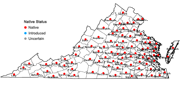 Locations ofDichanthelium microcarpon (Muhl. ex Elliott) Mohlenbrock in Virginia