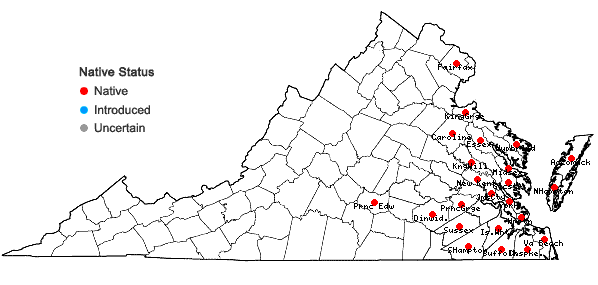 Locations ofDichanthelium oligosanthes (J.A. Schultes) Gould in Virginia