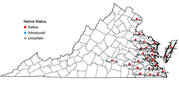 Locations ofDichanthelium oligosanthes (J.A. Schultes) Gould in Virginia