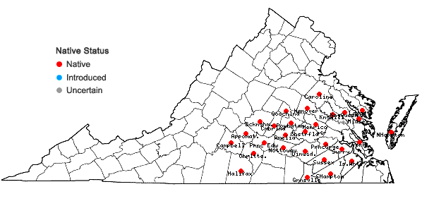 Locations ofDichanthelium ravenelii (Scribn. & Merr.) Gould in Virginia