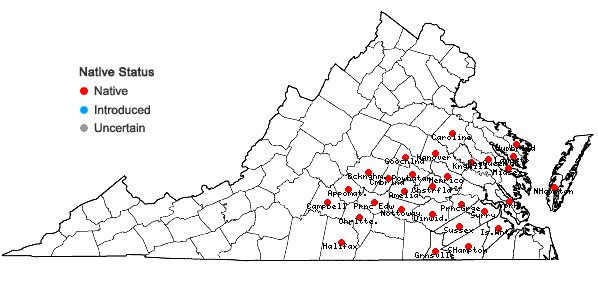 Locations ofDichanthelium ravenelii (Scribn. & Merr.) Gould in Virginia