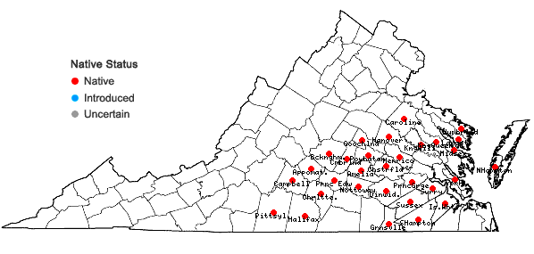 Locations ofDichanthelium ravenelii (Scribn. & Merr.) Gould in Virginia