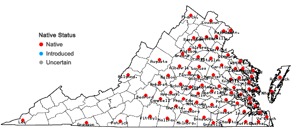 Locations ofDichanthelium scoparium (Lam.) Gould in Virginia