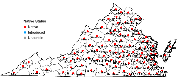 Locations ofDichanthelium sphaerocarpon (Ell.) Gould in Virginia