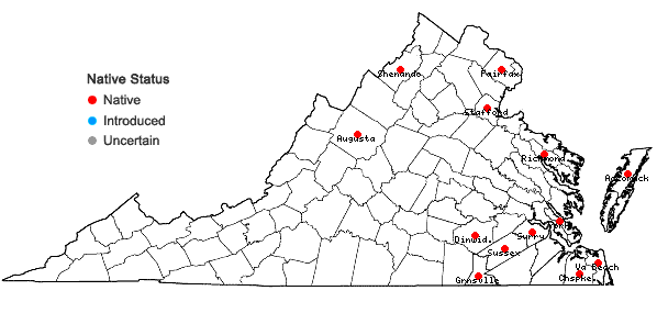Locations ofDichanthelium spretum (J.A. Schultes) Freckmann in Virginia