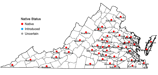 Locations ofDichanthelium villosissimum (Nash) Freckmann var. villosissimum in Virginia