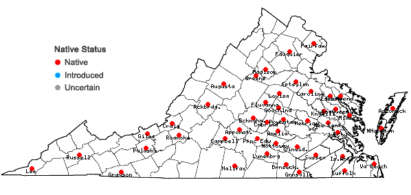 Locations ofDichanthelium villosissimum (Nash) Freckmann var. villosissimum in Virginia