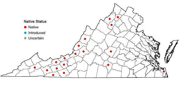 Locations ofDicranum bonjeanii De Notaris in Virginia