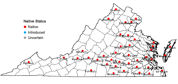 Locations ofDicranum condensatum Hedw. in Virginia