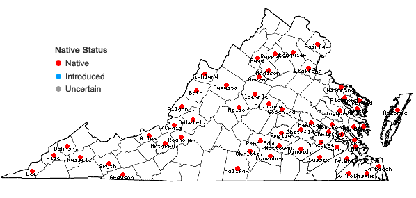Locations ofDicranum flagellare Hedwig in Virginia