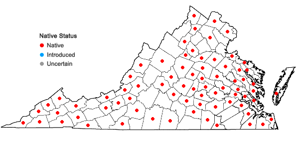 Locations ofDigitaria ciliaris (Retz.) Koeler in Virginia