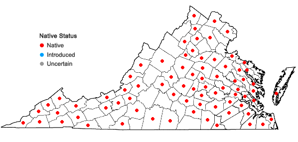 Locations ofDigitaria ciliaris (Retz.) Koeler in Virginia