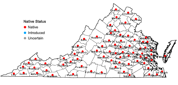 Locations ofDigitaria ciliaris (Retz.) Koeler in Virginia