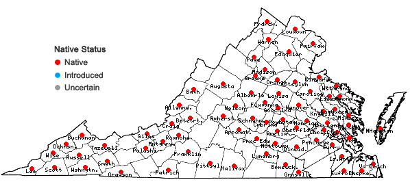 Locations ofDigitaria ciliaris (Retz.) Koeler in Virginia