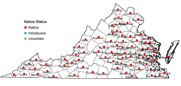 Locations ofDigitaria ciliaris (Retz.) Koeler in Virginia