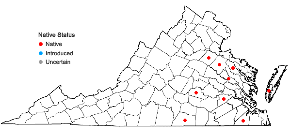 Locations ofDigitaria villosa (Walt.) Pers. in Virginia