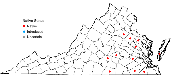 Locations ofDigitaria villosa (Walt.) Pers. in Virginia