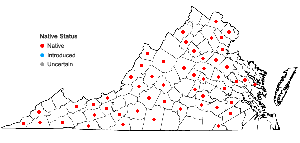Locations ofDoellingeria umbellata (P. Mill.) Nees var. umbellata in Virginia