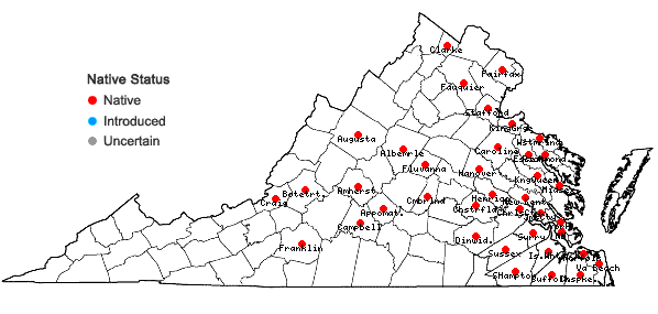 Locations ofDryopteris celsa (Wm. Palmer) Knowlt., Palmer & Pollard ex Small in Virginia