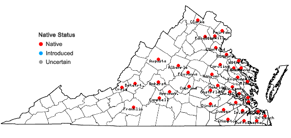 Locations ofDryopteris celsa (Wm. Palmer) Knowlt., Palmer & Pollard ex Small in Virginia