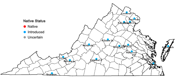 Locations ofDysphania pumilio (R. Br.) Mosyakin & Clemants in Virginia