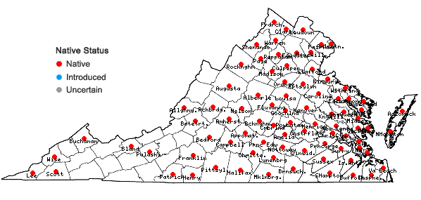 Locations ofEclipta prostrata (L.) L. in Virginia
