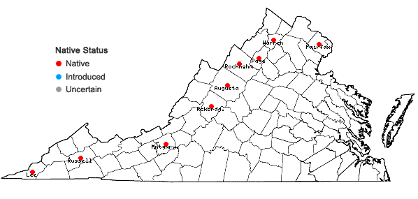 Locations ofEleocharis compressa Sullivant var. compressa in Virginia