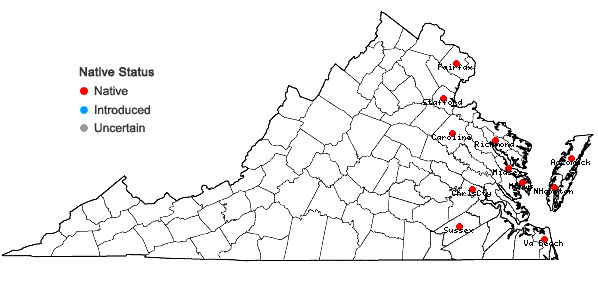 Locations ofEleocharis flavescens (Poiret) Urban in Virginia