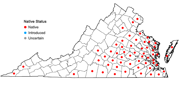 Locations ofElephantopus tomentosus L. in Virginia