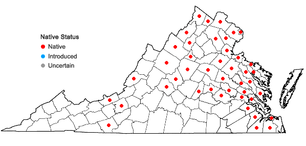 Locations ofElodea nuttallii (Planchon) St. John in Virginia