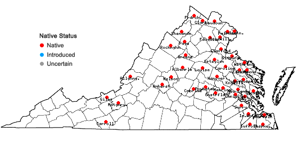 Locations ofElodea nuttallii (Planchon) St. John in Virginia